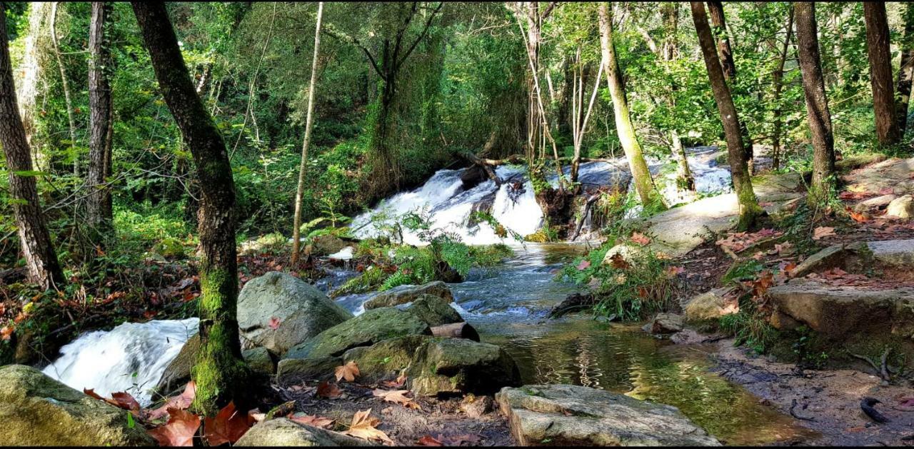 Camping Parc Gualba 구알바데달트 외부 사진