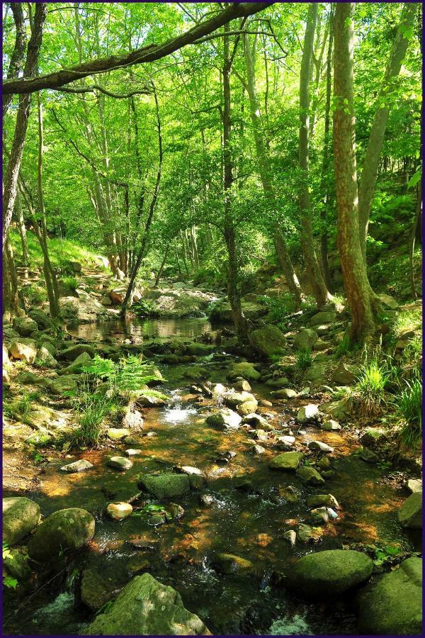 Camping Parc Gualba 구알바데달트 외부 사진